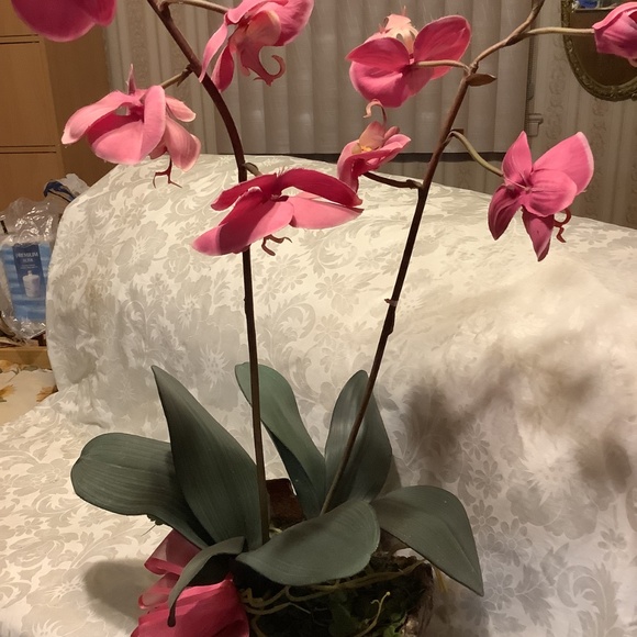 Artificial Tropical Exotic Pink Orchid Plant 30” height  25” base circumference - Picture 3 of 12